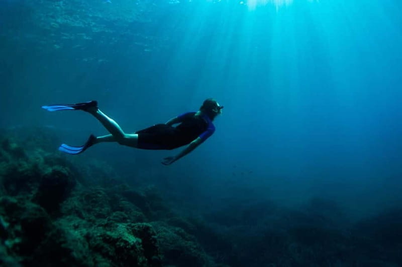 Nice: Snorkeling Speedboat Tour in Villefranche Bay - What to bring and how to prepare