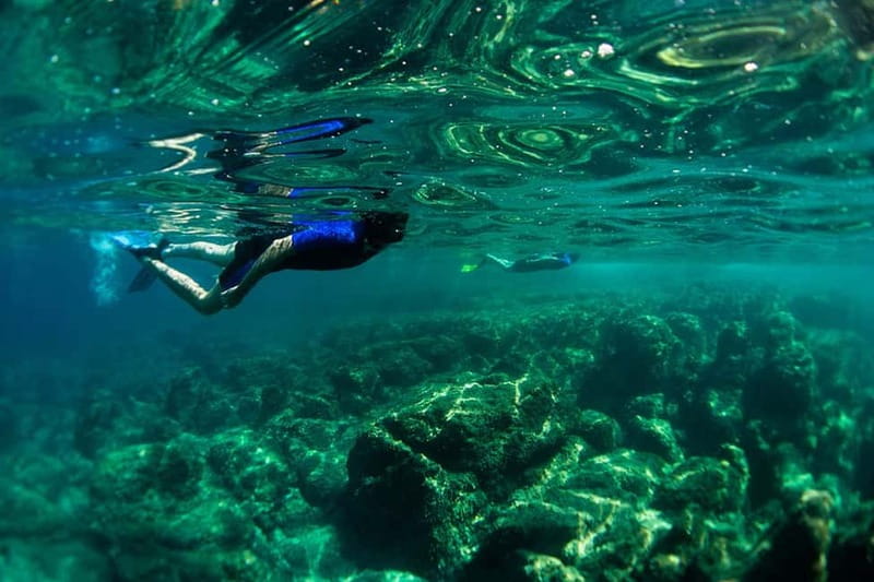 Nice: Snorkeling Speedboat Tour in Villefranche Bay - One hour of snorkeling in Villefranche Bay