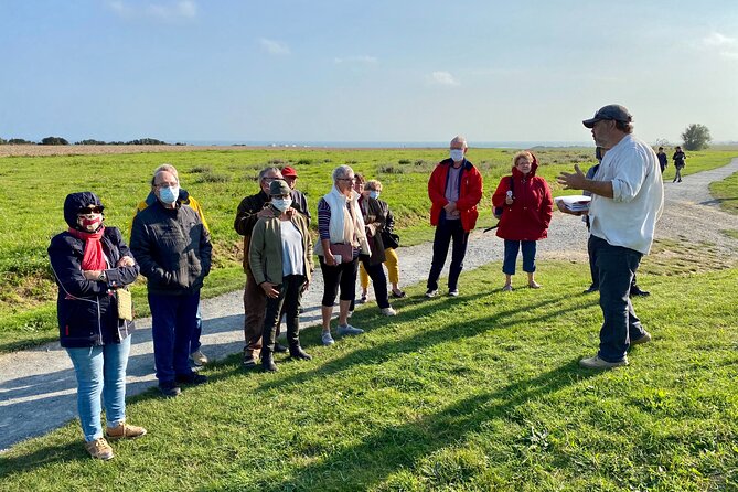 Normandy American D-Day Beaches Full Day Tour from Bayeux - Lunch, coffee, and the practical middle of the day