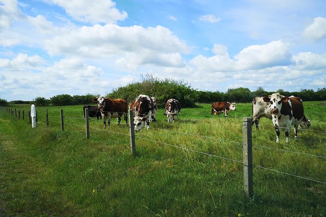 Normandy Battlefields Tour - American Sites (A3) - Transport, timing, and the Bayeux base