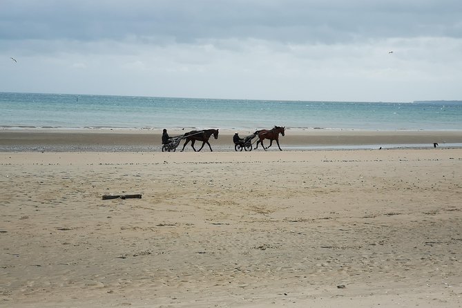 Normandy Beaches Half-Day Afternoon Trip from Bayeux (A2) - Guides can make or break the afternoon