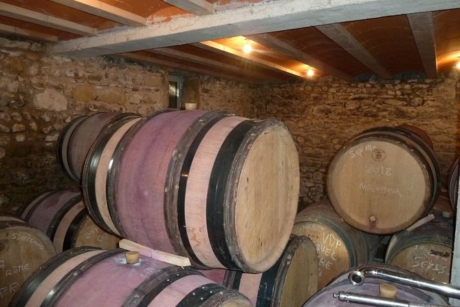 Northern Rhône Valley Wine tour from Lyon Half Day - Is $131.82 a fair price?