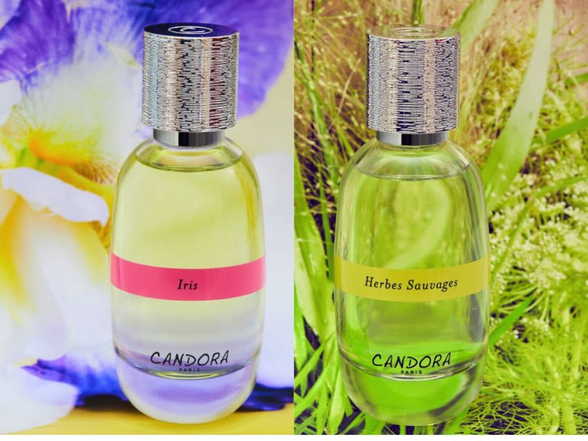 Paris: 2-Hour Perfume Creation Workshop - The opening quiz makes perfume less mysterious