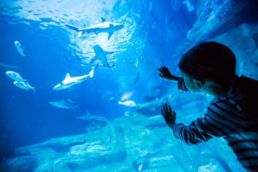 Paris: Aquarium de Paris Entrance Ticket - What the Aquarium de Paris is really like