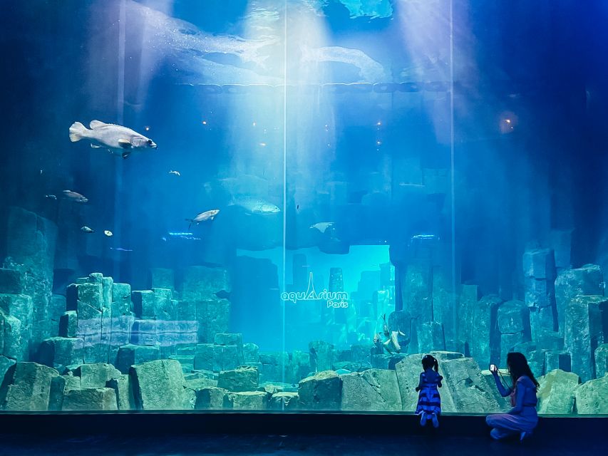 Paris: Aquarium de Paris Entrance Ticket - Sharks, rays, and the large central tank