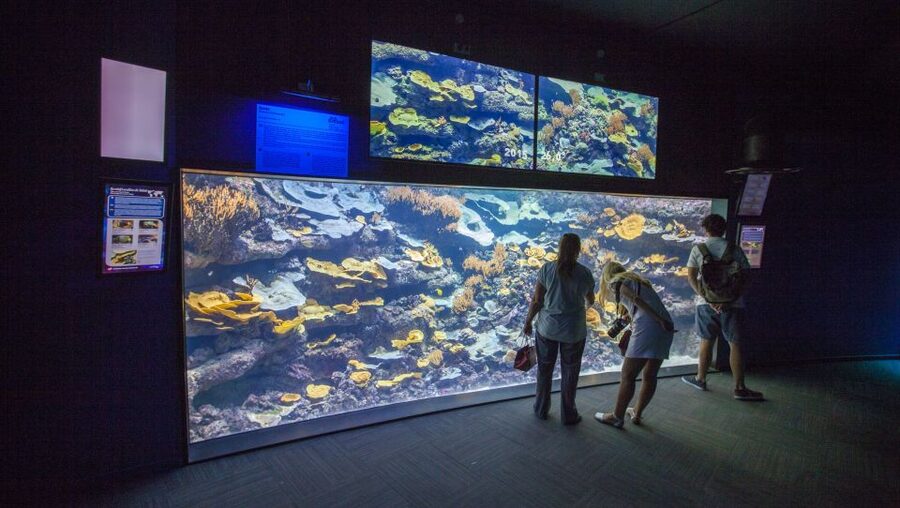 Paris: Aquarium de Paris Entrance Ticket - Films, cartoons, workshops, and live shows
