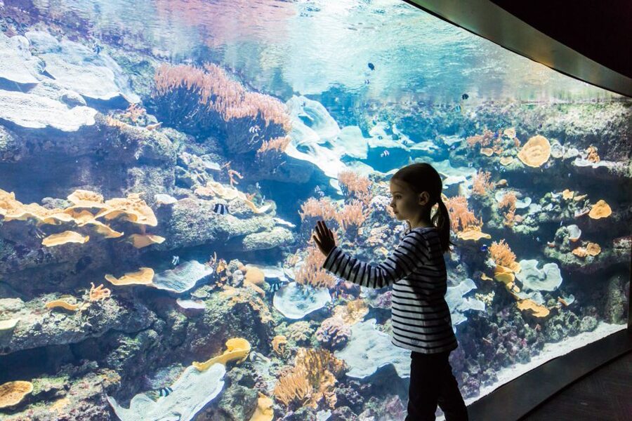 Paris: Aquarium de Paris Entrance Ticket - How long should you allow?