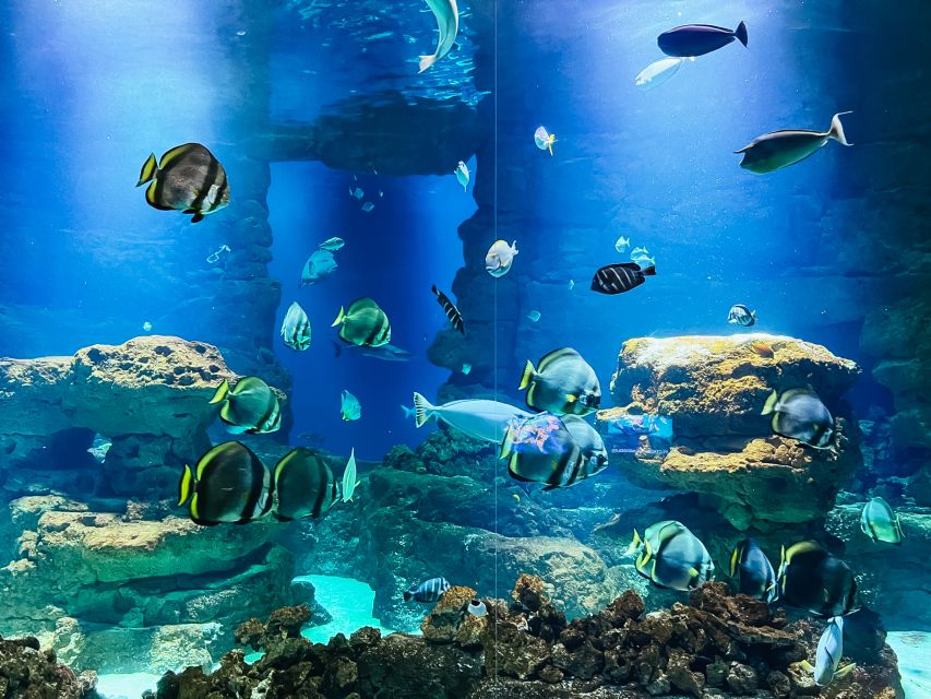 Paris: Aquarium de Paris Entrance Ticket - Finding it near Trocadéro
