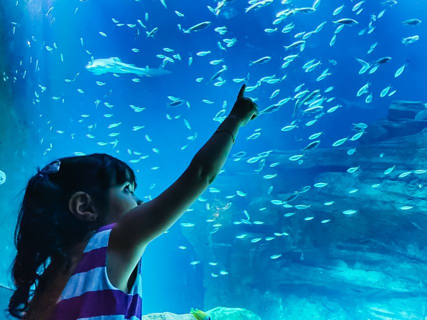 Paris: Aquarium de Paris Entrance Ticket - The jellyfish room is the visual highlight