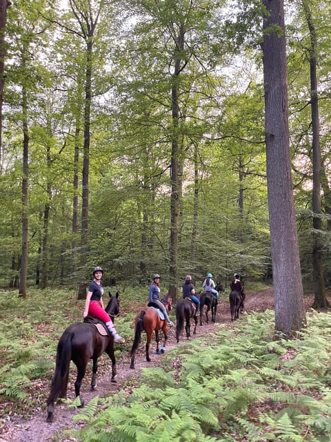Paris: Aumont-en-Halatte Horseback Riding Tour - Getting to Aumont-en-Halatte from Paris