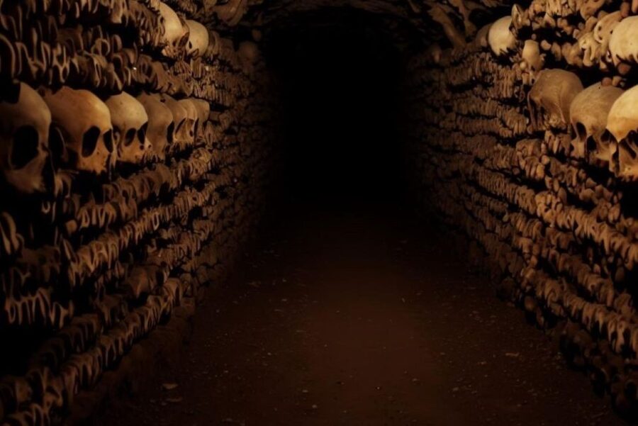 Paris: Catacombs, Audio Guide, and River Cruise Option - Adding the one-hour Seine cruise