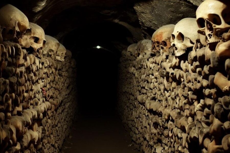 Paris: Catacombs, Audio Guide, and River Cruise Option - Is $94 a fair price?