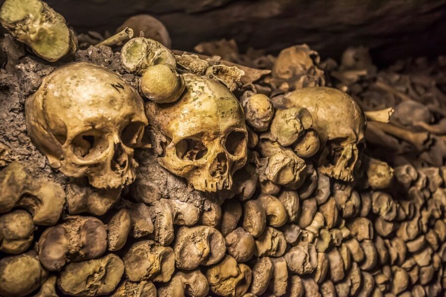 Paris: Catacombs Restricted Access Tour - What the restricted access adds
