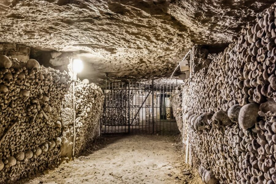 Paris: Catacombs Restricted Access Tour - Should you book the restricted-access option?