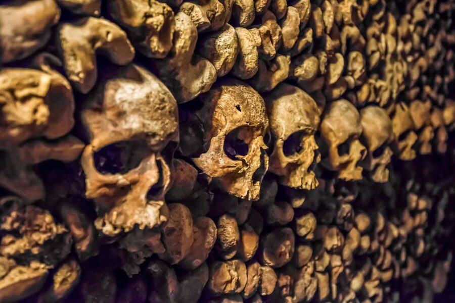 Paris: Catacombs Restricted Access Tour - Meeting at Denfert Rochereau