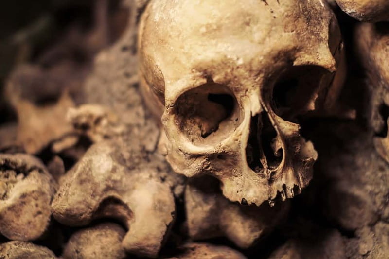 Paris: Catacombs Special Access Tour - Why the Paris Catacombs are more than a bone display