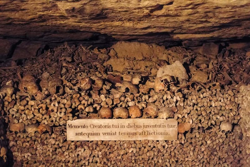 Paris: Catacombs Special Access Tour - Practical limits you should plan around