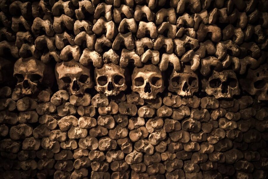 Paris: Catacombs Ticket and Seine River Cruise - Simple Ways To Make the Day Better