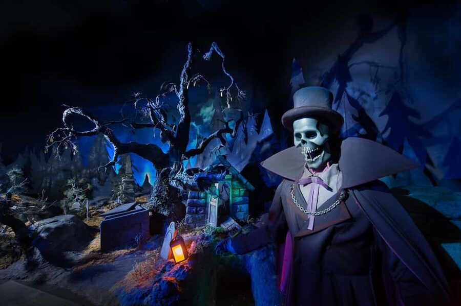 Paris: Disneyland Paris Ticket with Transfer - Who should book this experience?