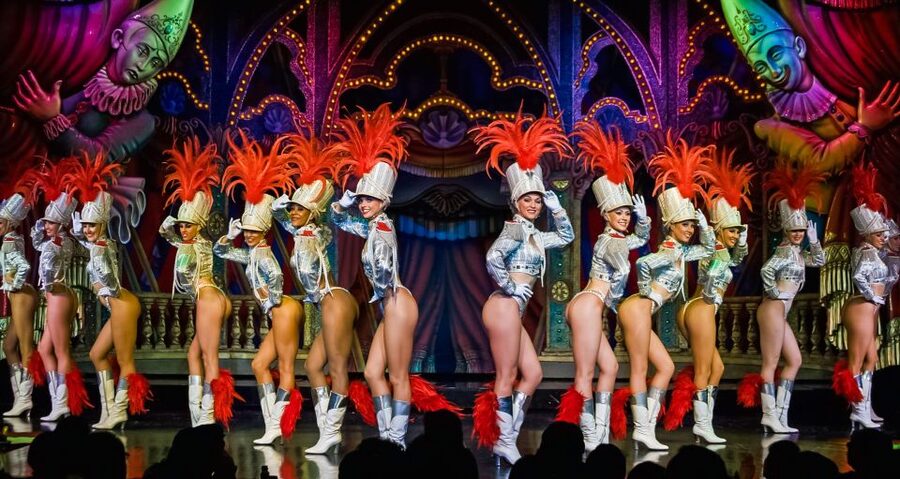 Paris: Evening Sightseeing Tour and Moulin Rouge Show - Who will enjoy this Paris night out?