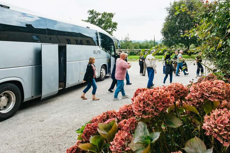 Paris: Normandy D-Day Sites Guided Day Trip with Lunch - Starting at Utah Beach and its bunker museum