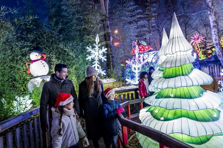 Paris: Parc Astérix Full-Day Entrance Ticket - Family rides and Cétautomatix