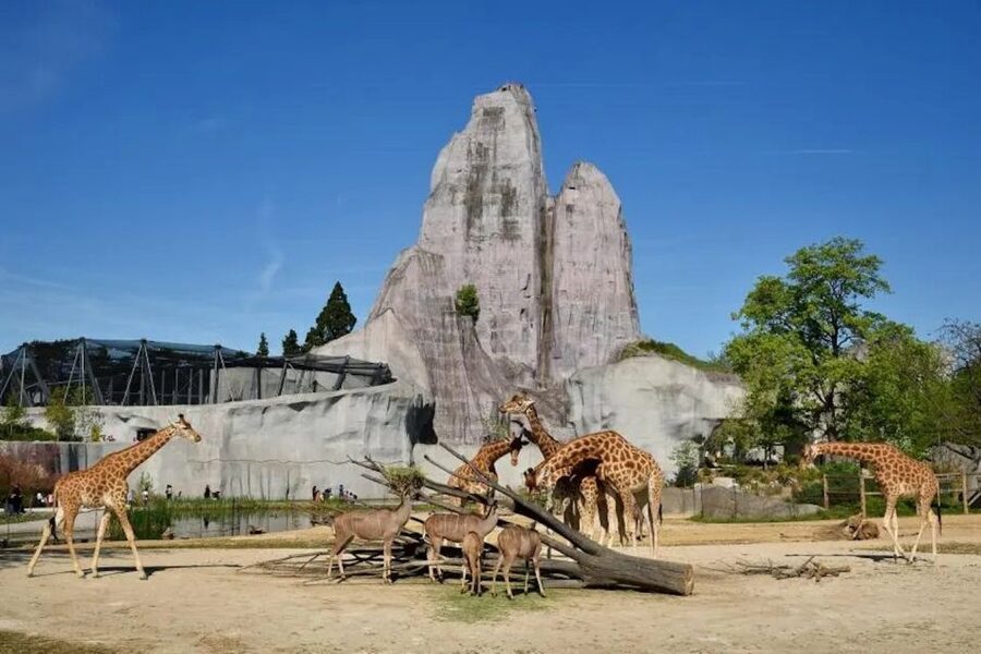 Paris: Paris Zoological Park Entrance Ticket - Amazonia and the Indoor Rainforest
