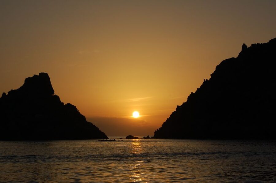 Porto: Half-Day Cruise Scandola Reserve & Calanche de Piana - Who will enjoy this Porto cruise most