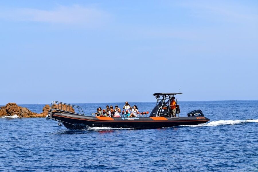 Porto: Scandola and Calanches of Piana Boat Trip - Booking flexibility and timing