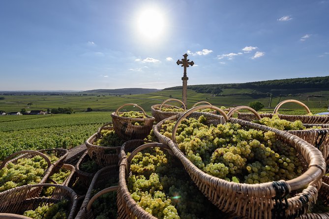 Private excursion to Côte de Beaune and Côte de Nuits (full day) - Key points to know before booking