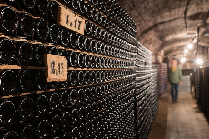 Private excursion to Côte de Beaune and Côte de Nuits (full day) - Afternoon vineyard walk and seasonal work