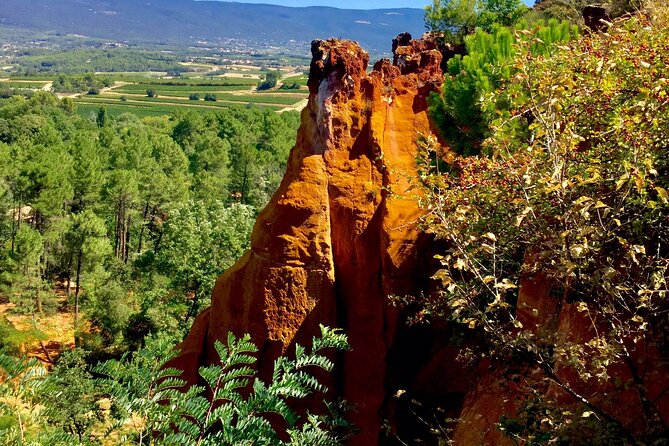 Provence Highlights Full-Day Tour from Avignon - Saint-Rémy adds everyday Provençal charm