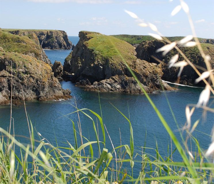 Quiberon: Ferry tickets from/to Belle-Île-en-Mer, Le Palais - Dogs, Luggage, and Access Details