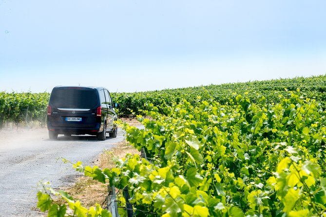 Reims afternoon tour Champagne and family growers - Timing, meeting point, and practical limits