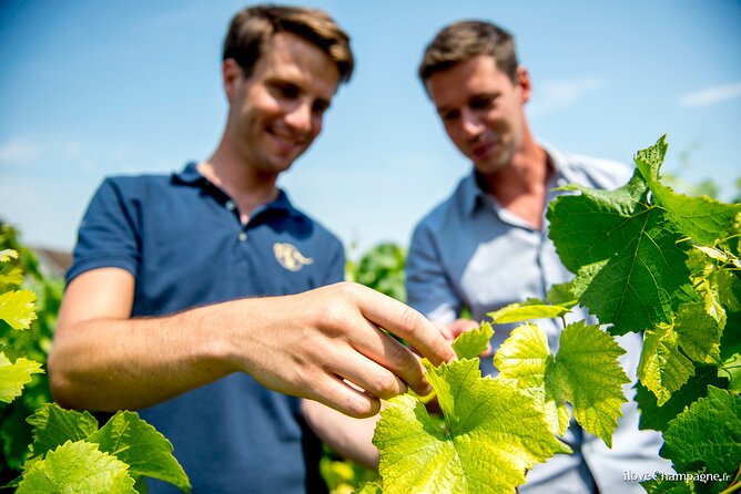 Reims afternoon tour Champagne and family growers - The first winery: a personal look at production