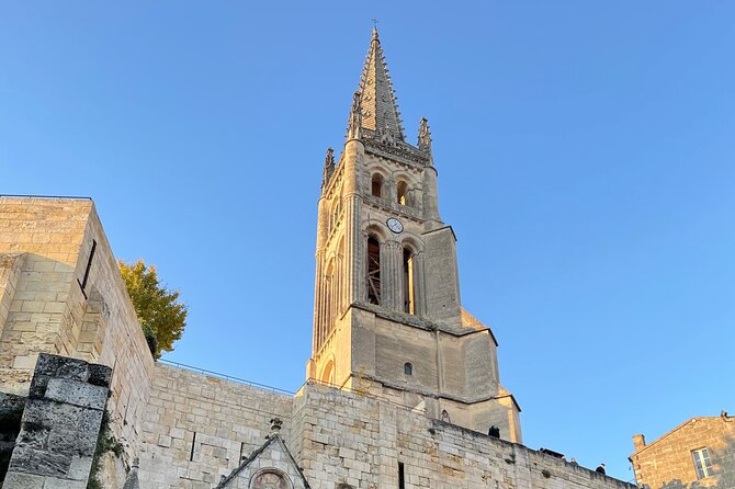 Saint-Emilion Afternoon Wine Tour - 2 Wineries & delicacies - Who should book this Saint-Émilion tour?