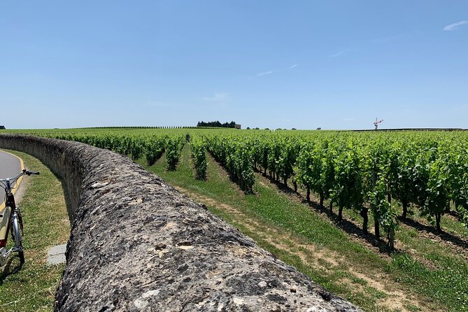 Saint-Emilion Afternoon Wine Tour - 2 Wineries & delicacies - Saint-Émilion village in one carefully timed hour