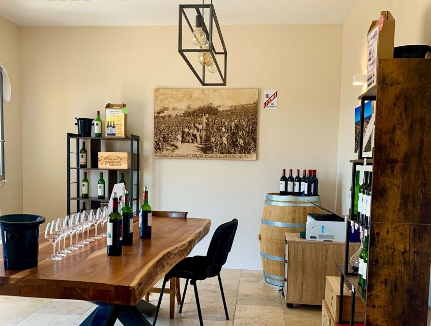 Saint-Émilion: Bordeaux Vineyard Tour and Wine Tasting - Why this small Saint-Émilion visit works so well