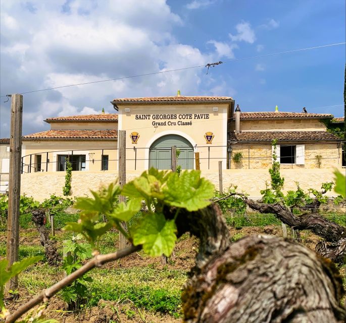 Saint-Émilion: Bordeaux Vineyard Tour and Wine Tasting - How to fit it into a Saint-Émilion day