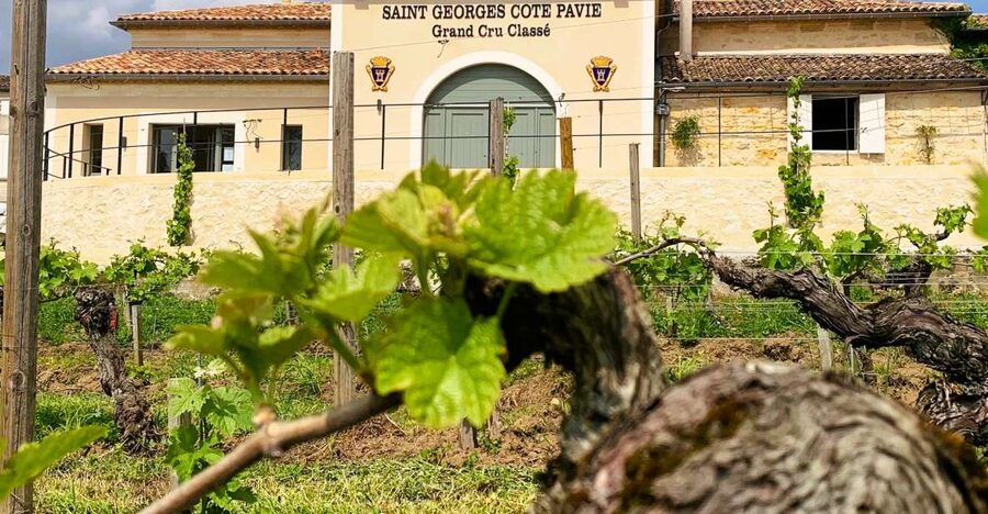 Saint-Émilion: Bordeaux Vineyard Tour and Wine Tasting - Is Château Saint-Georges Côte Pavie worth $21?