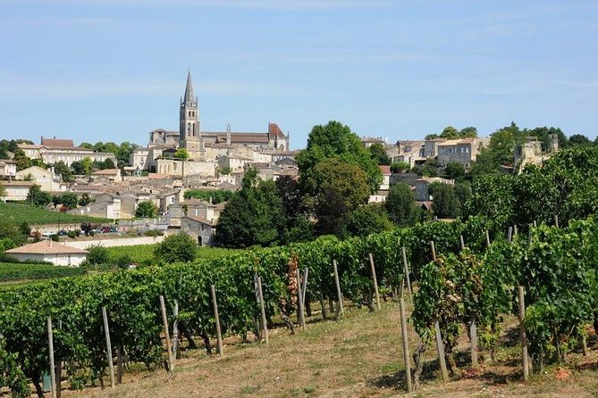 Saint-Émilion day tour: village visit, Châteaux and lunch - Who should book this Saint-Émilion tour?