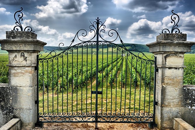 Saint Emilion Day Trip with Sightseeing Tour & Wine Tastings from Bordeaux - Comfort, pace, and the small-group setting