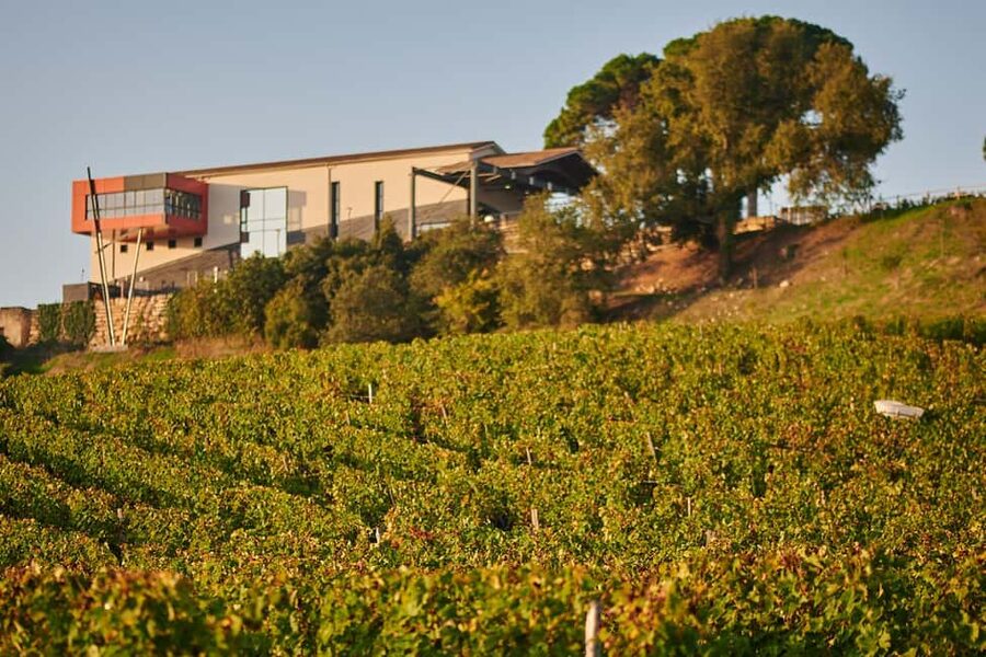 Saint-Émilion: Grand Cru Classé Winery Visit and Tasting - Key points at a glance