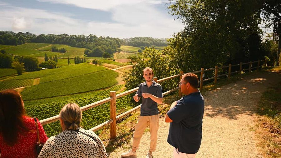 Saint-Émilion: Grand Cru Classé Winery Visit and Tasting - Why the old and new comparison works