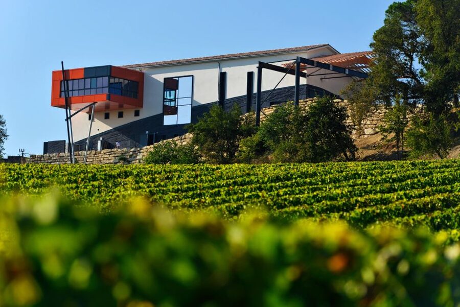 Saint-Émilion: Grand Cru Classé Winery Visit and Tasting - Who will get the most from this visit?