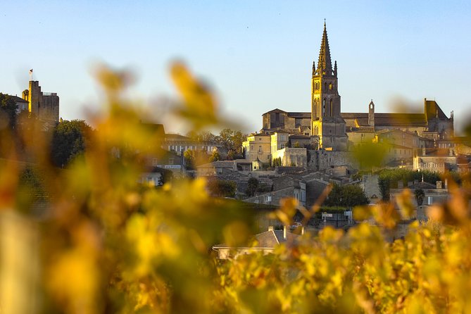 Saint Emilion Half-Day Trip with Wine Tasting & Winery Visit from Bordeaux - Saint-Émilion village, stone streets, and limited free time
