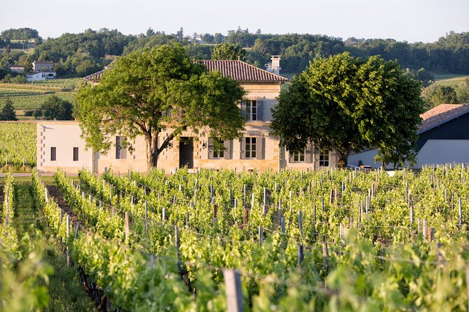 Saint Emilion Half-Day Trip with Wine Tasting & Winery Visit from Bordeaux - Who should choose this half-day outing?