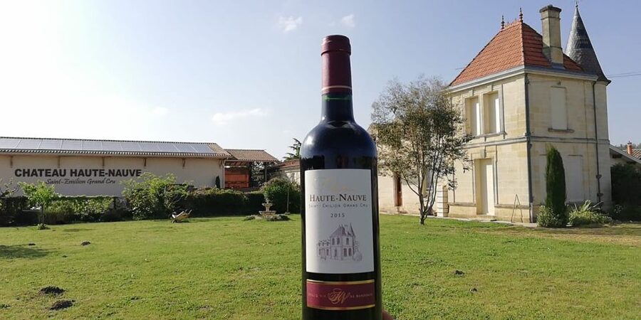 Saint-Émilion: Vineyard Walking Tour and Tasting - A family-run château near Saint-Émilion