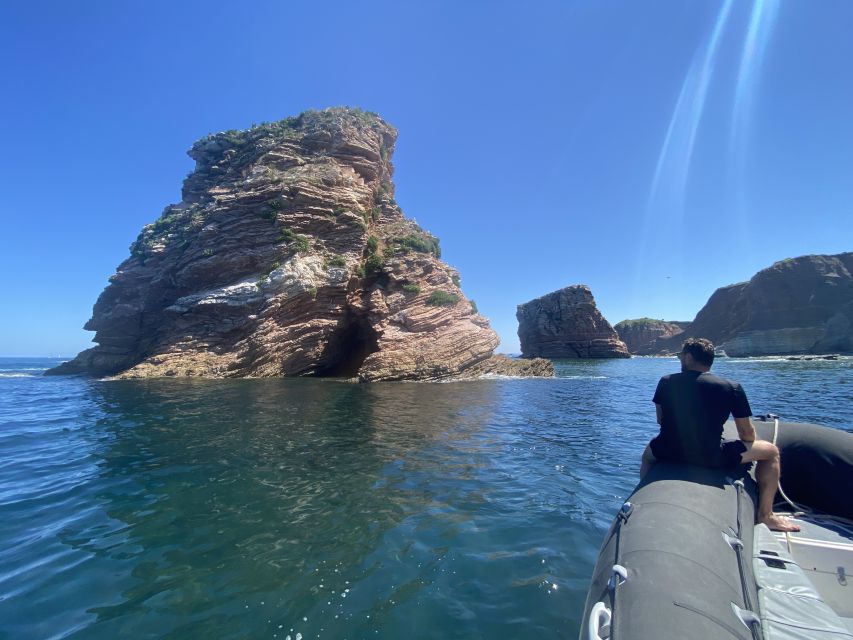Saint-Jean-de-Luz, Basque country: Boat tour along the Coast - Who should book this coastal cruise?