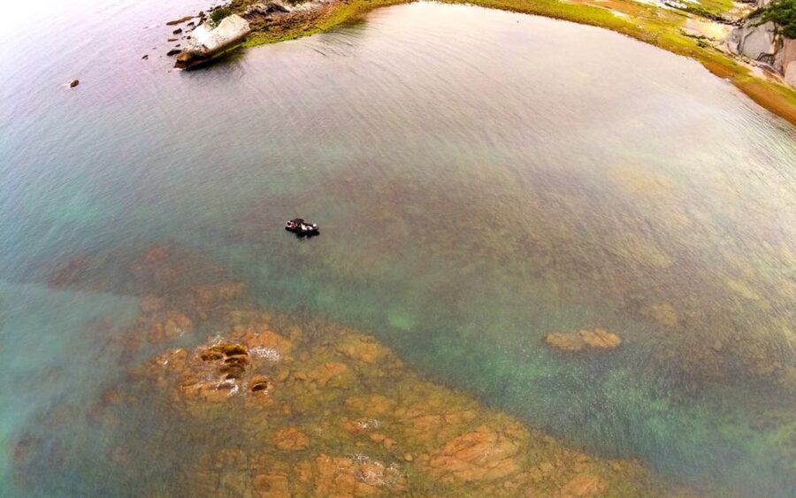 Saint-Jean-de-Luz, Basque country: Boat tour along the Coast - Seeing the Basque coast from Saint-Jean-de-Luz